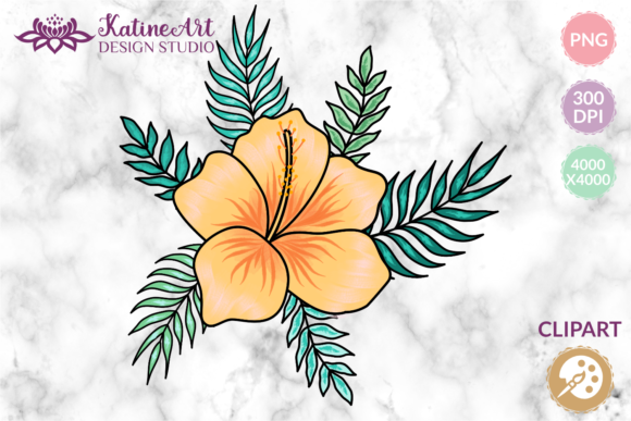 Discover the Beauty of Hibiscus Flower Tropical Floral Hawaii