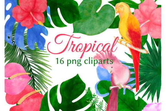 Discover the Beauty of Tropical Floral Clipart