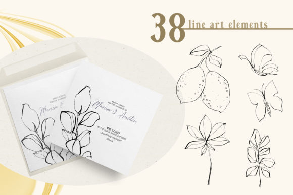 Enhance Your Designs with 38 Floral Line Art PNGs