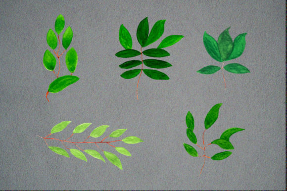 Enhance Your Projects with Watercolor Leaf Designs