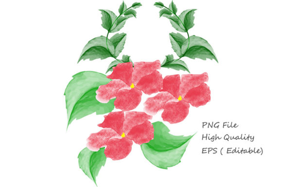 Explore the Beauty of Watercolor Flowers PNG